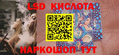 шишки Кимры
