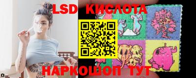шишки Кимры