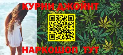 сатива Кингисепп