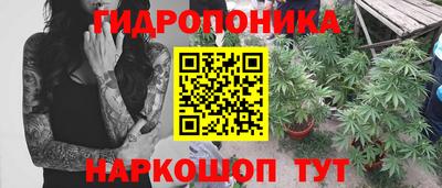 прущие крисы Кинель