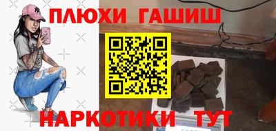 сатива Кингисепп