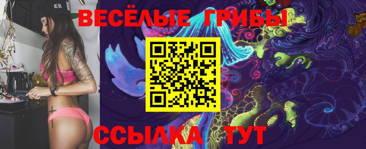 Галлюциногенные грибы Psilocybe  Псилоцибиновые грибы Psilocybe  Кизляр  Вход с VPN 